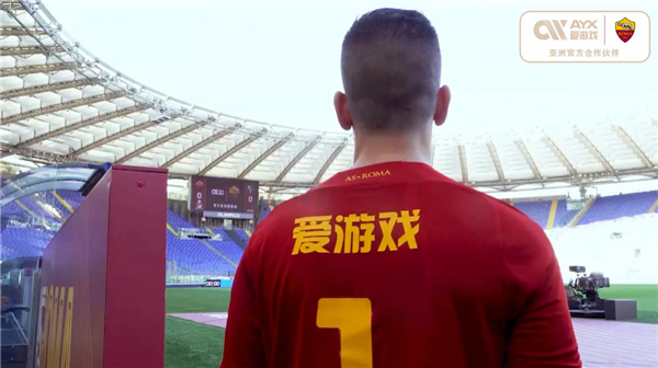 职业精神和